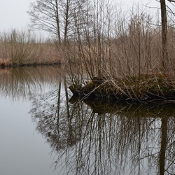 2018-04-14 Copenhagen/Utterslev Mose/DSC_0075.JPG